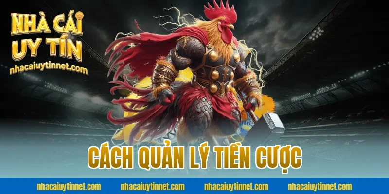 Cách quản lý tiền cược