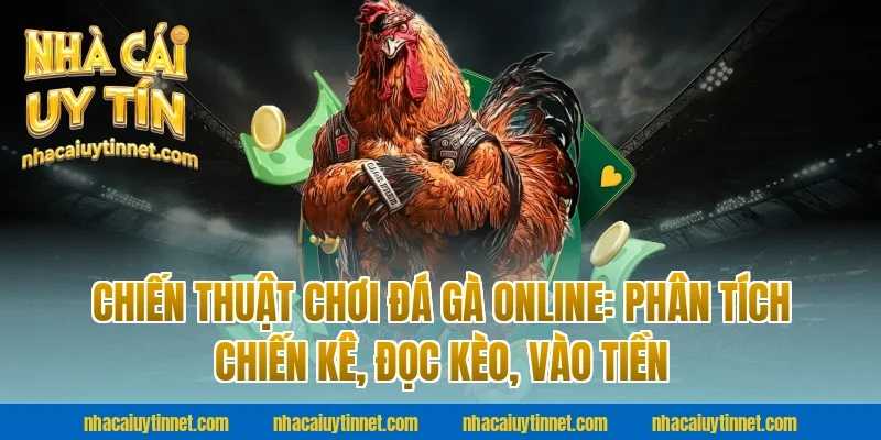 Chiến thuật chơi Đá gà online: phân tích chiến kê, đọc kèo, vào tiền