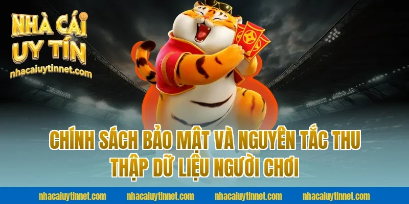 Chính sách bảo mật và nguyên tắc thu thập dữ liệu người chơi tại nhà cái uy tín