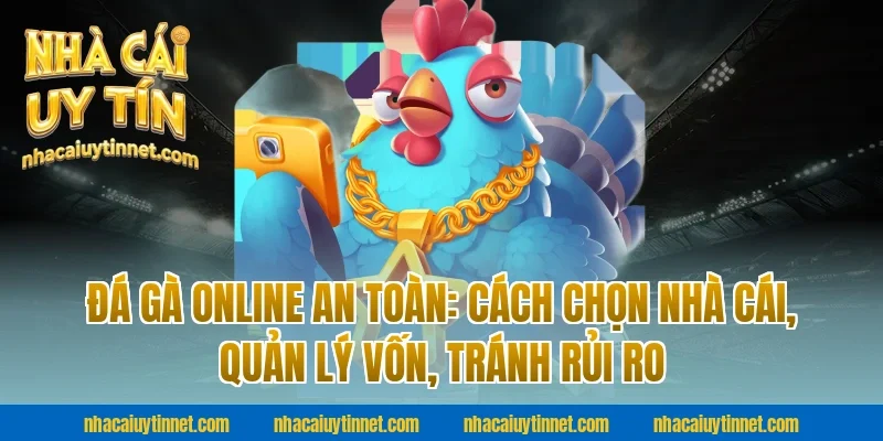 Đá gà online an toàn: cách chọn nhà cái, quản lý vốn, tránh rủi ro