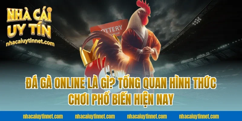 Đá gà online là gì? Tổng quan hình thức chơi phổ biến hiện nay