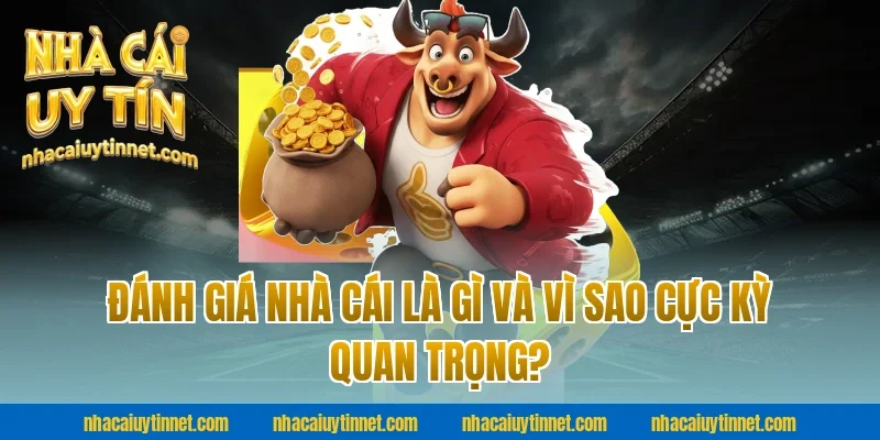 Đánh giá nhà cái là gì và vì sao cực kỳ quan trọng?