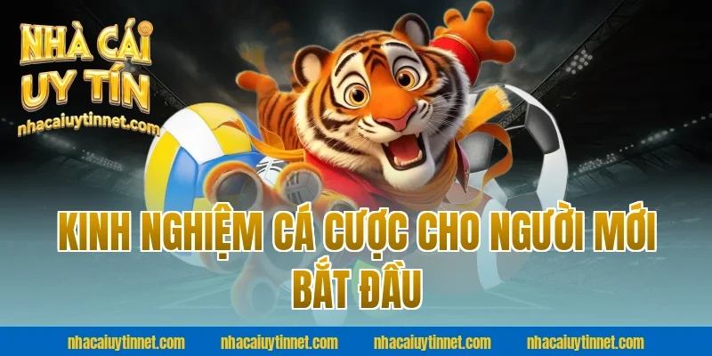 Kinh nghiệm cá cược cho người mới bắt đầu tại nhà cái uy tín