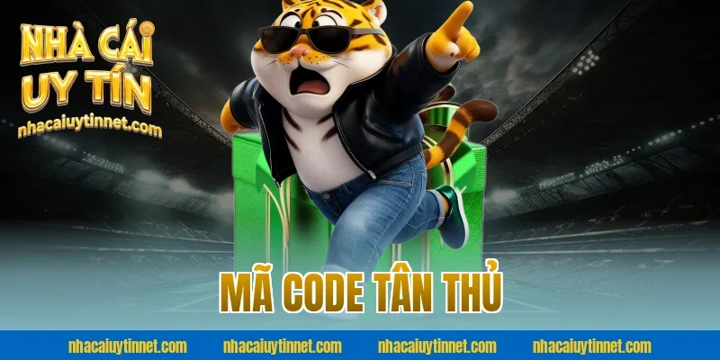 Mã code tân thủ