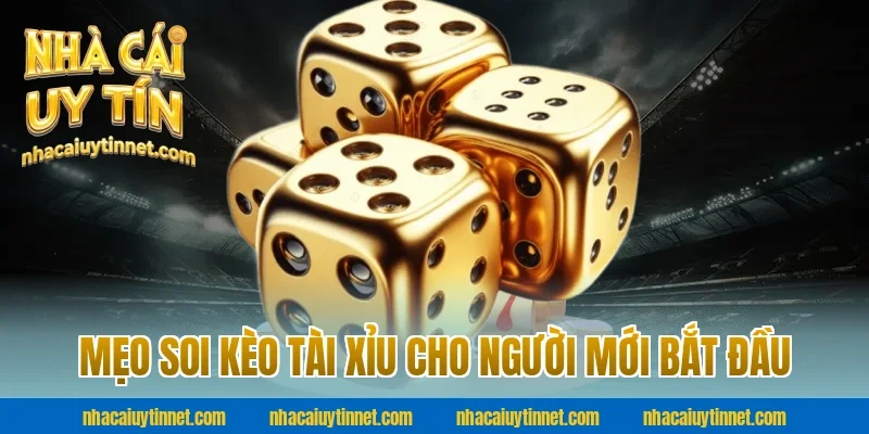Mẹo soi kèo tài xỉu cho người mới bắt đầu cùng nhà cái uy tín