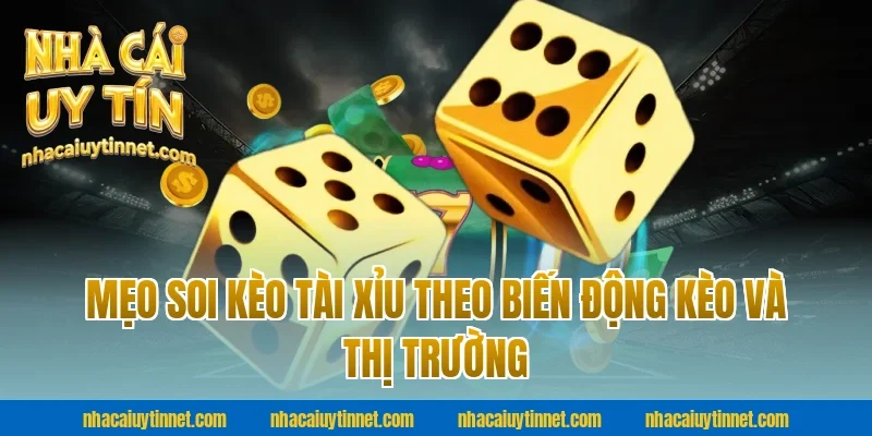 Mẹo soi kèo tài xỉu theo biến động kèo và thị trường tại nhà cái uy tín