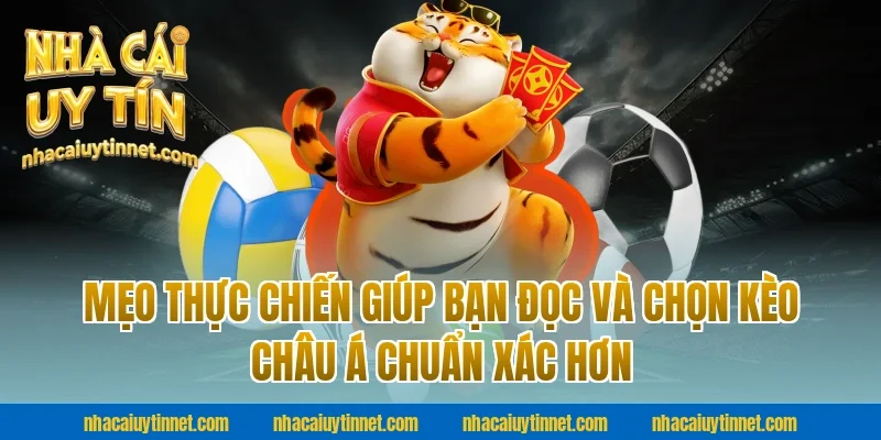 Mẹo Thực Chiến Giúp Bạn Đọc Và Chọn Kèo Châu Á Chuẩn Xác Hơn