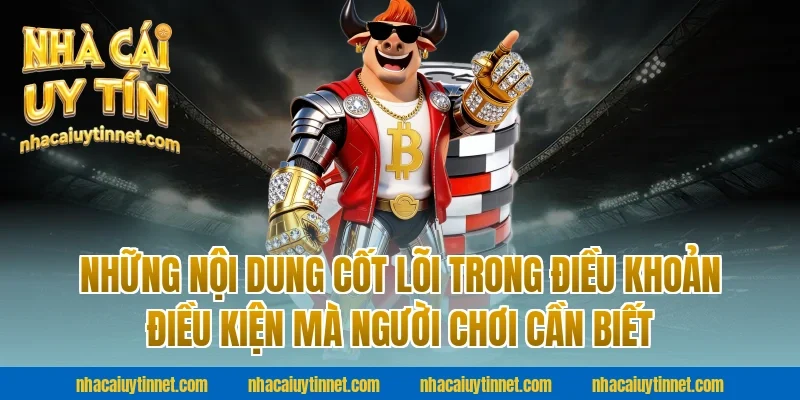 Những Nội Dung Cốt Lõi Trong Điều Khoản Điều Kiện Mà Người Chơi Cần Biết Tại Nhà Cái Uy Tín