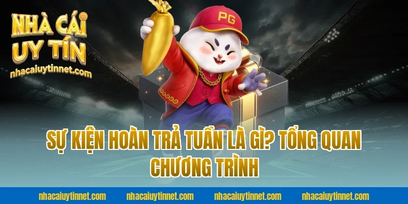 Sự Kiện Hoàn Trả Tuần Là Gì? Tổng Quan Chương Trình