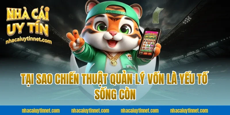 Tại Sao Chiến Thuật Quản Lý Vốn Là Yếu Tố Sống Còn Tại Nhà Cái Uy Tín