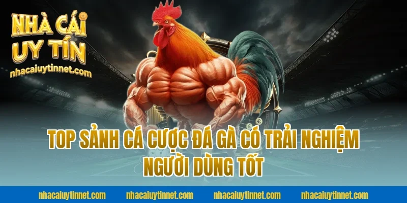 Top sảnh cá cược đá gà có trải nghiệm người dùng tốt