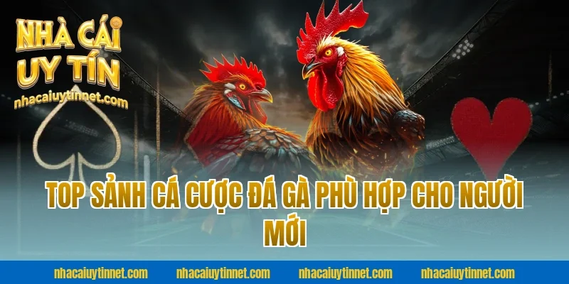 Top sảnh cá cược đá gà phù hợp cho người mới