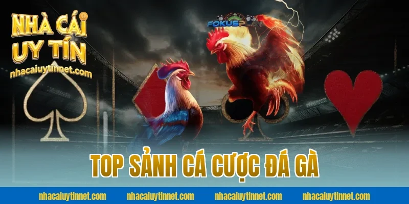Top sảnh cá cược đá gà