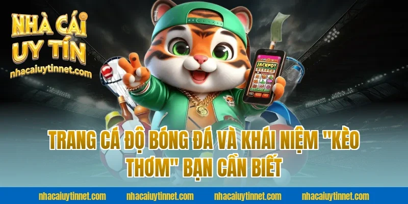 Trang Cá Độ Bóng Đá Và Khái Niệm "Kèo Thơm" Bạn Cần Biết