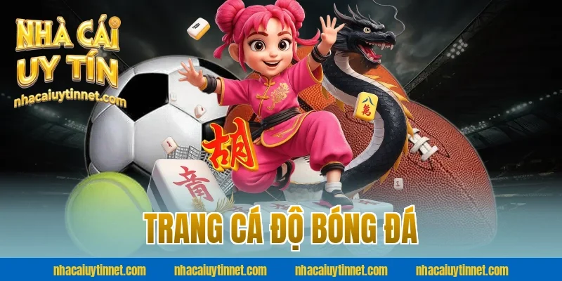 Trang cá độ bóng đá